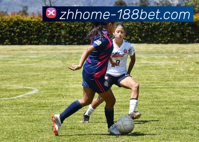 188bet体育官网发展历程